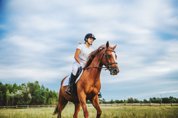 Parcours de cross à cheval et poney pour adultes débutants dans le Val d'Oise